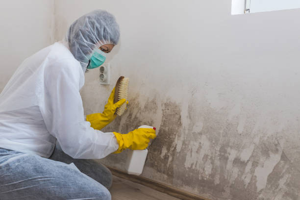 Best Comprehensive Air Testing for Mold Contaminants  in Beggs, OK