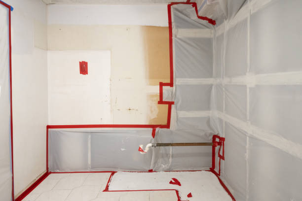 Mold Odor Removal Services in Beggs, OK